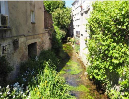 Le Gite Entre Val Et Rose Provins Dış mekan fotoğraf